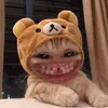 sarahaudioxinchaoo