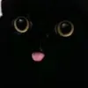 sussyalpa