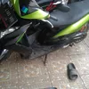 aripwt1