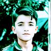 shahidali81844