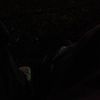da_nijc3