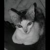 ak0billi0ns