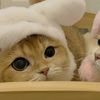 sweetly_703