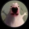 ._.11671