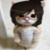 kitty._liz0