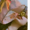 blackberry__61