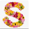 shafimohammed786786