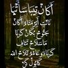 mamahani132
