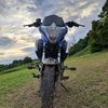 lark_1289