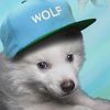 alexdude04155