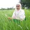 taslima12462
