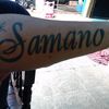 juanalcibarsamano