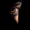 shadowlink16