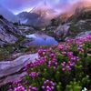56sehertiktok.com56seher