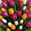 user2102926116729