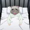 .xy555