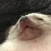 nhymchaba