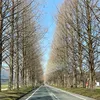 raito_4519da