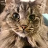 ruffles_baby