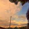 fel_di1509