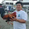 jhomstagun2
