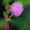 bristy_1111