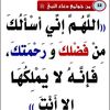 zayedalsubau