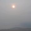 momiarva_95
