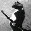 neto27130