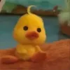 babooo_chan