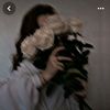 sile_nce