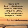 user391828416