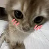 ameenndis