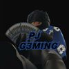 pjgaming818