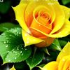 user82132611009708
