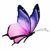 user920002474