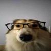 altf4mydood