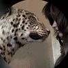 vooooooooowwww