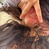 mjxavz_