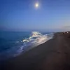 furinazeyrox