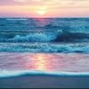 andrearyan55