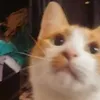 dtodounpocoooo