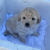 yosvany_0221