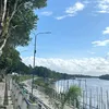 dineiaalves8