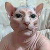 manyapon