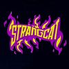 strang_cat.shop