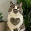 pets_paradise02