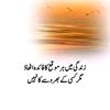faisal9990666508