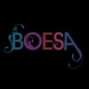 Boesa Management