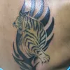 xenike2